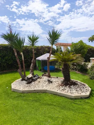 Pequeño jardín ajardinado con palmeras, piedras blancas y una sombrilla azul bajo un cielo nublado.