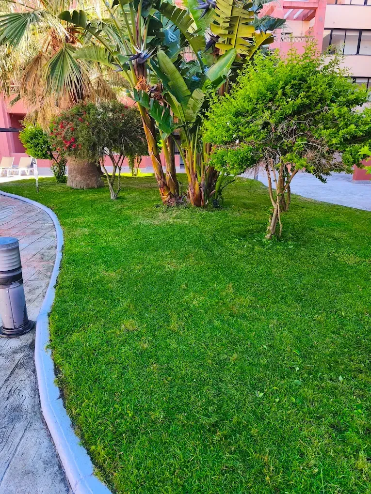 Exuberante jardín verde con plantas tropicales junto a un camino pavimentado y sinuoso y un edificio rosa.