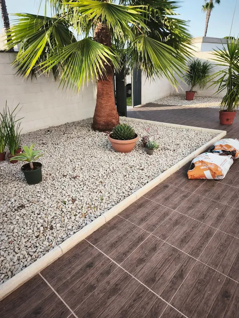 Patio con una palmera en maceta, un lecho de grava blanca, un camino pavimentado y cojines naranjas junto a una pared blanca