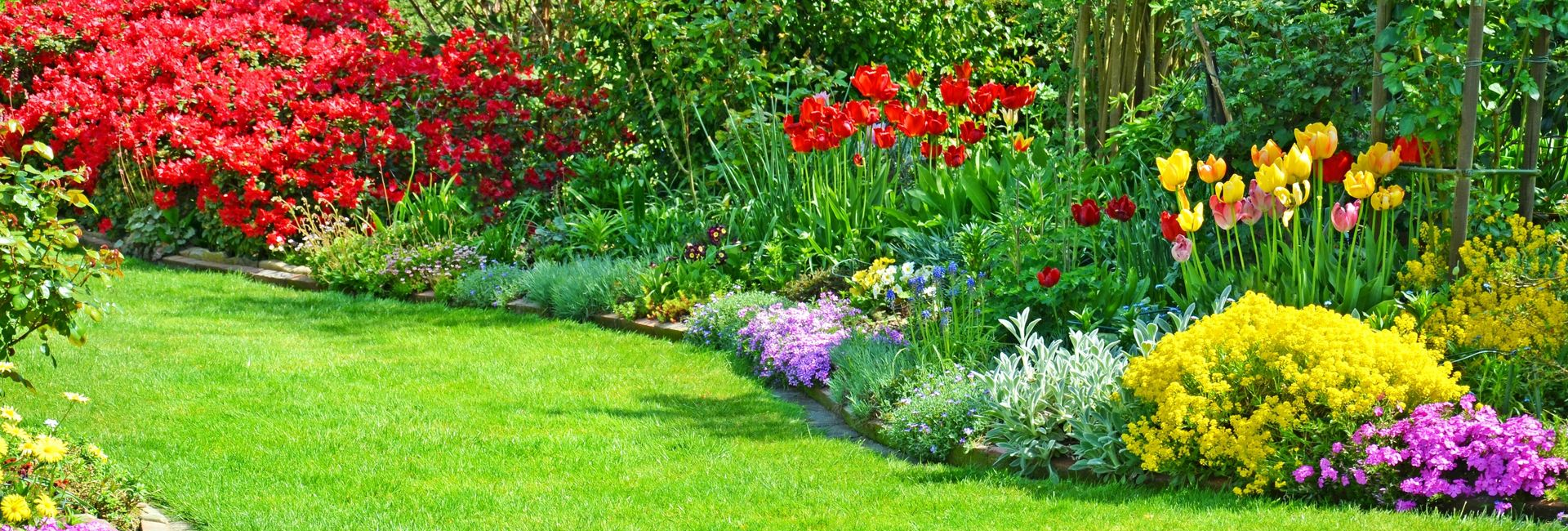 Un jardin fleuri éclatant avec une pelouse d'un vert luxuriant, des fleurs en pleine floraison.