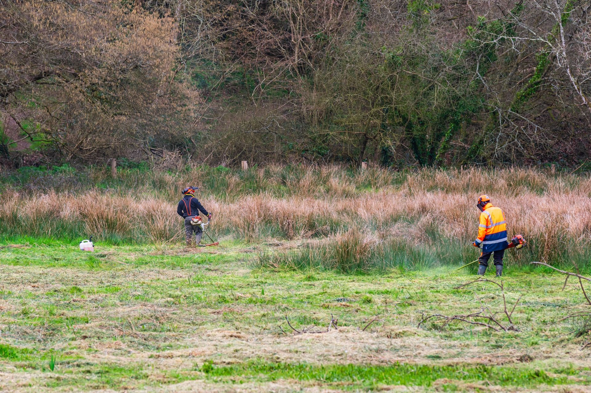 Deux personnes utilisent des débroussailleuses pour dégager les hautes herbes sèches d'un champ.
