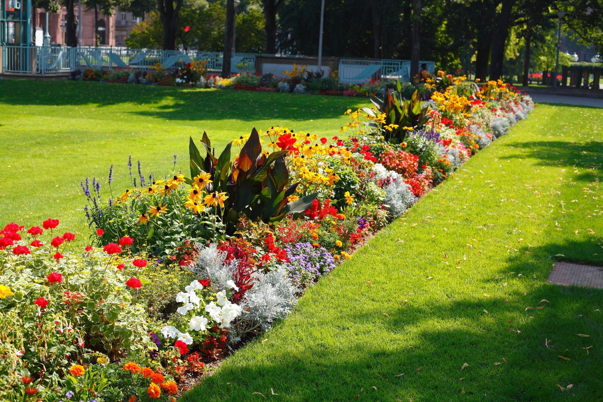 Un parterre de jardin regorge de fleurs colorées et d'un feuillage vert abondant.