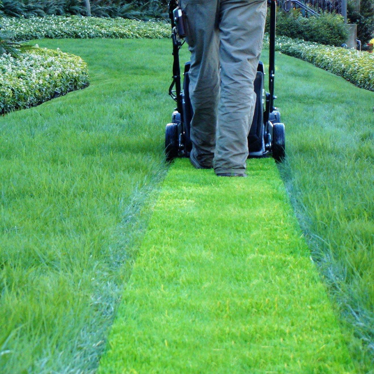 Une personne marche derrière une tondeuse à gazon.