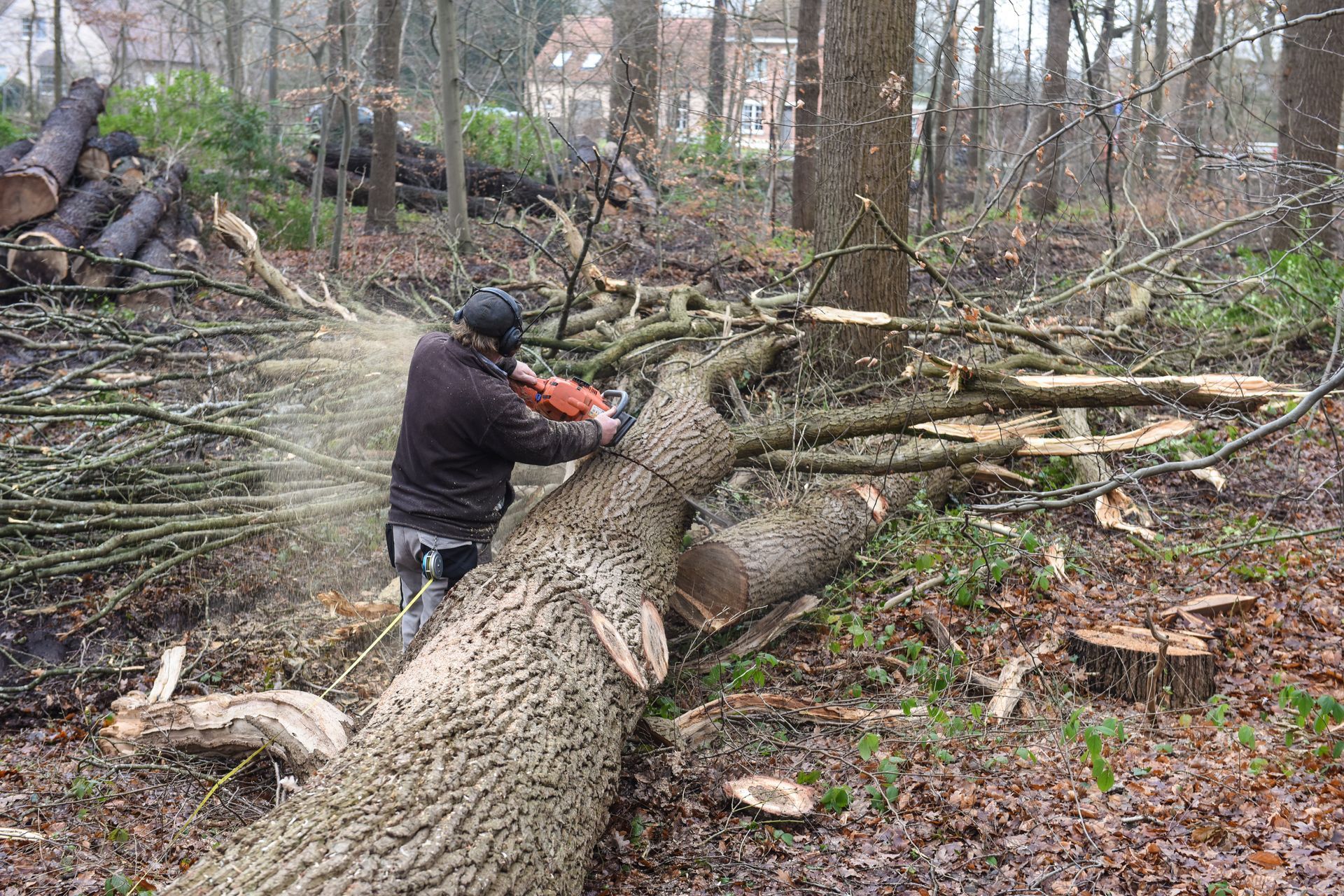 Un ouvrier vêtu d'une veste sombre utilise une tronçonneuse pour couper le tronc d'un gros arbre tombé dans une zone boisée.