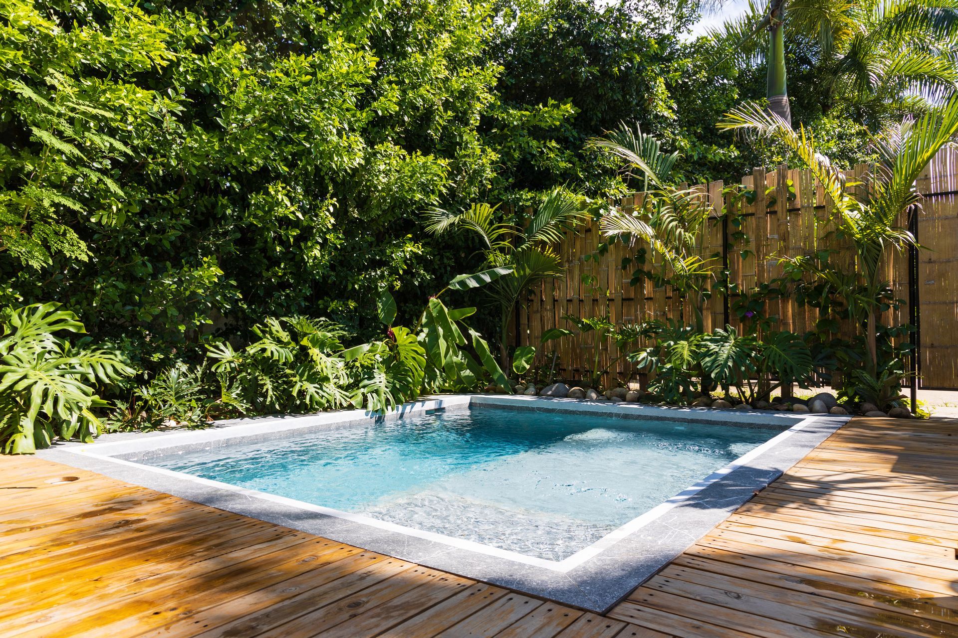 Une petite piscine rectangulaire entourée d'une terrasse en bois et d'une végétation tropicale luxuriante.
