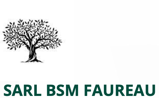 Vers accueil Logo de BSM Faureau
