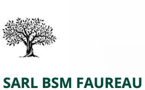 Vers accueil Logo de BSM Faureau