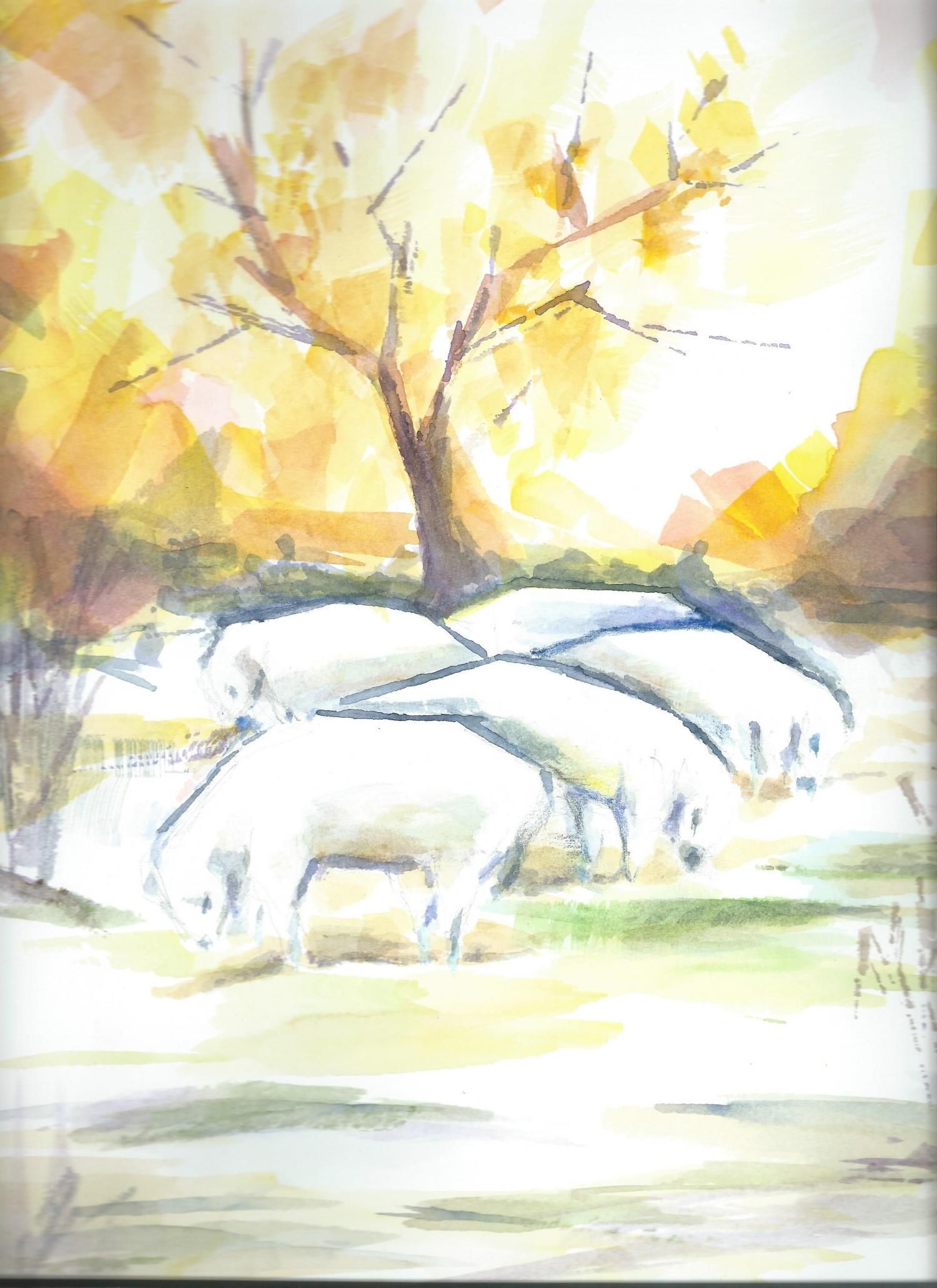 Energie-Coaching und Fern-Heilung