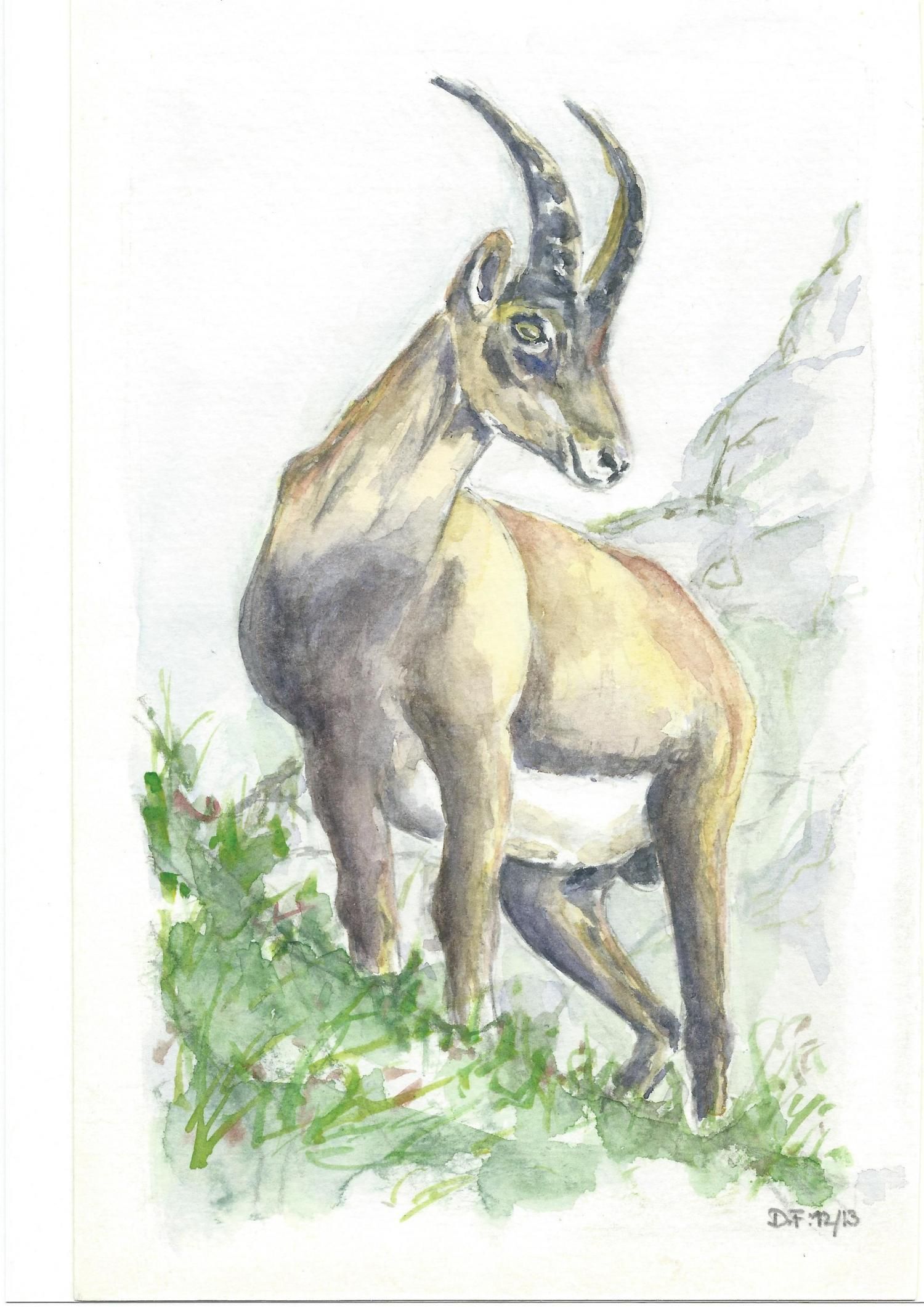 Energie-Coaching und Fern-Heilung