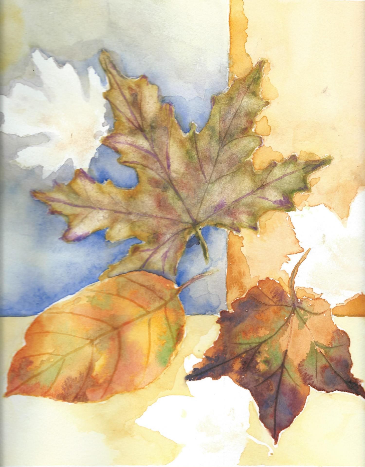 Energie-Coaching und Fern-Heilung