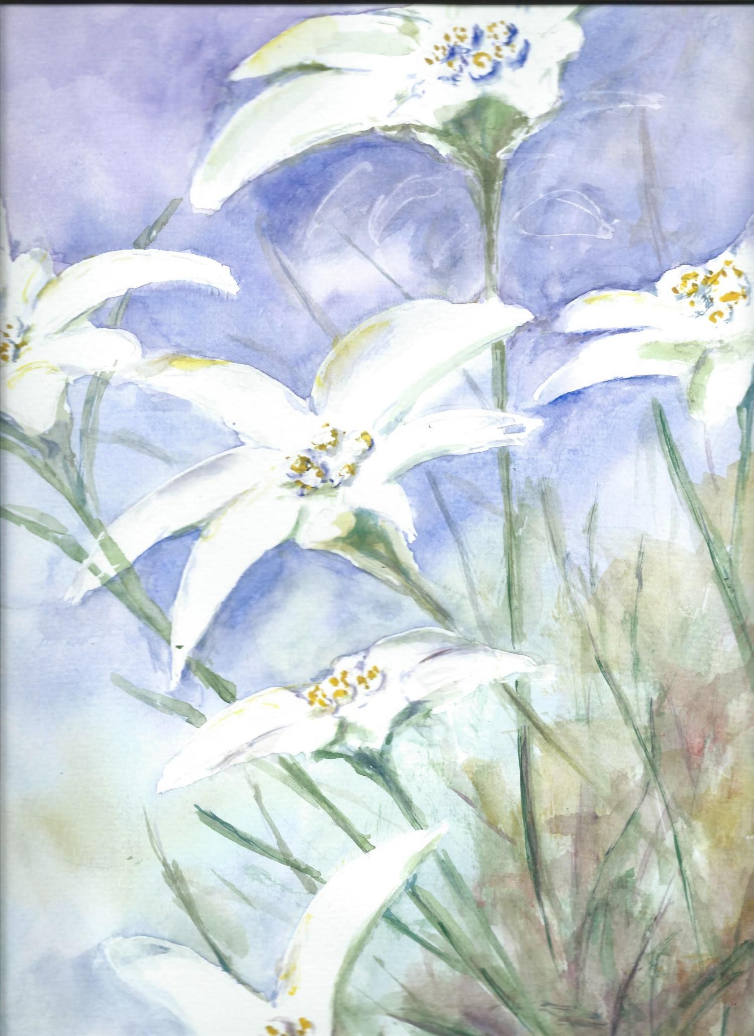 Energie-Coaching und Fern-Heilung