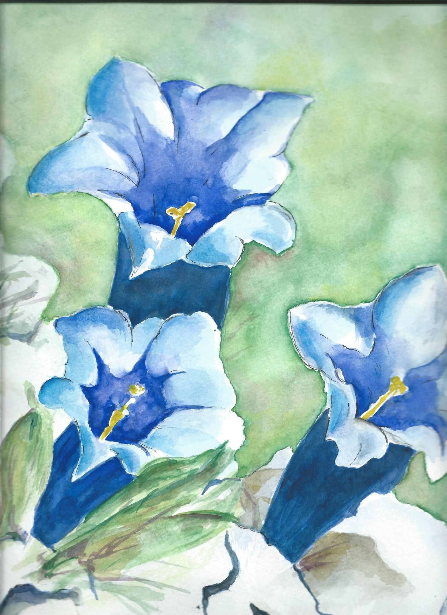 Energie-Coaching und Fern-Heilung