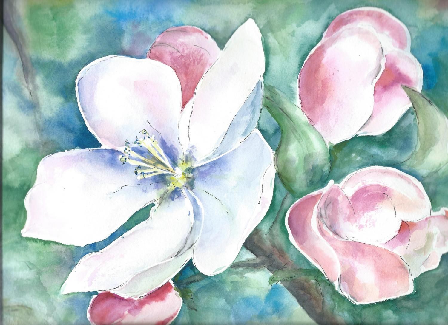 Energie-Coaching und Fern-Heilung