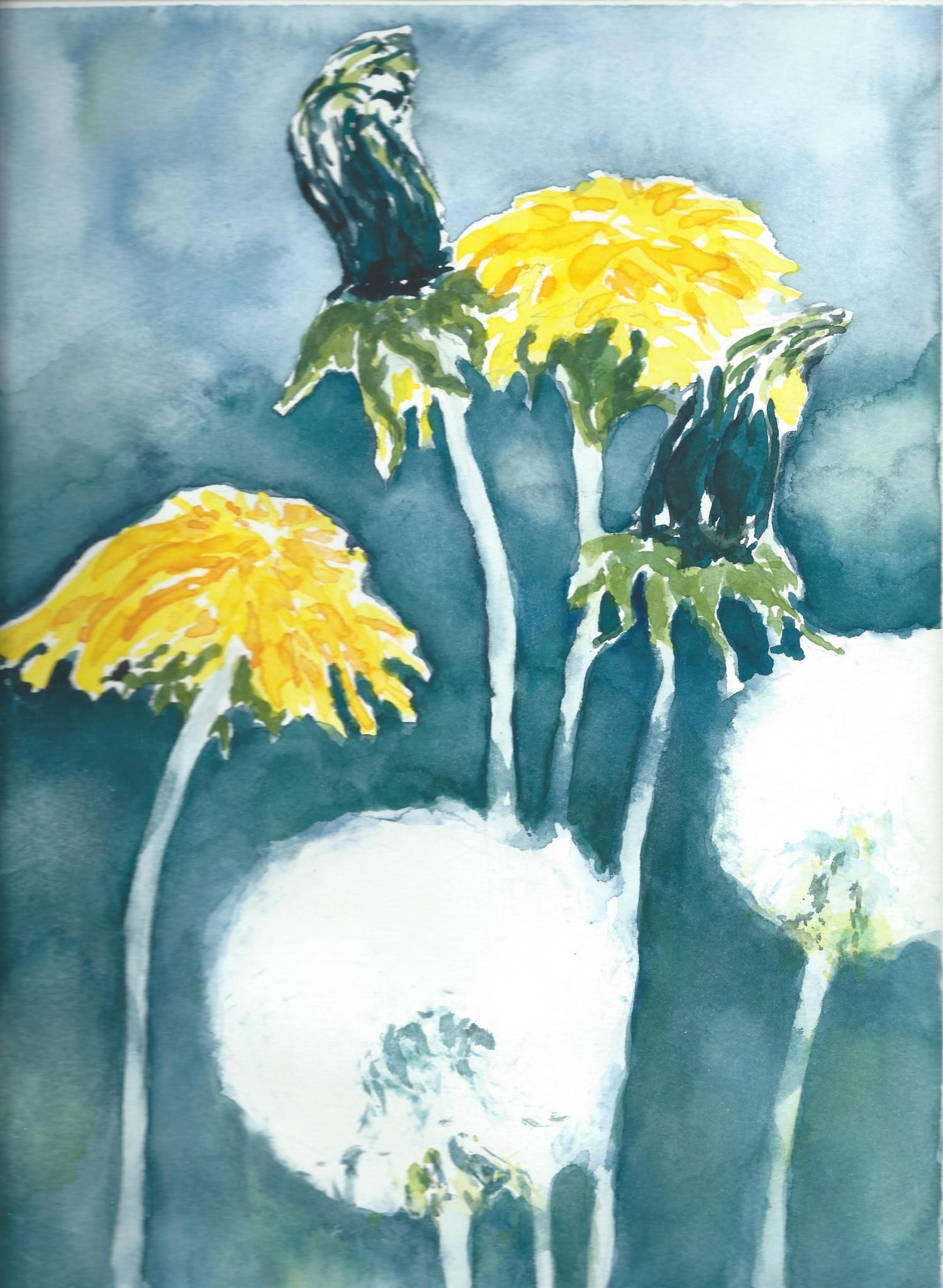 Energie-Coaching und Fern-Heilung