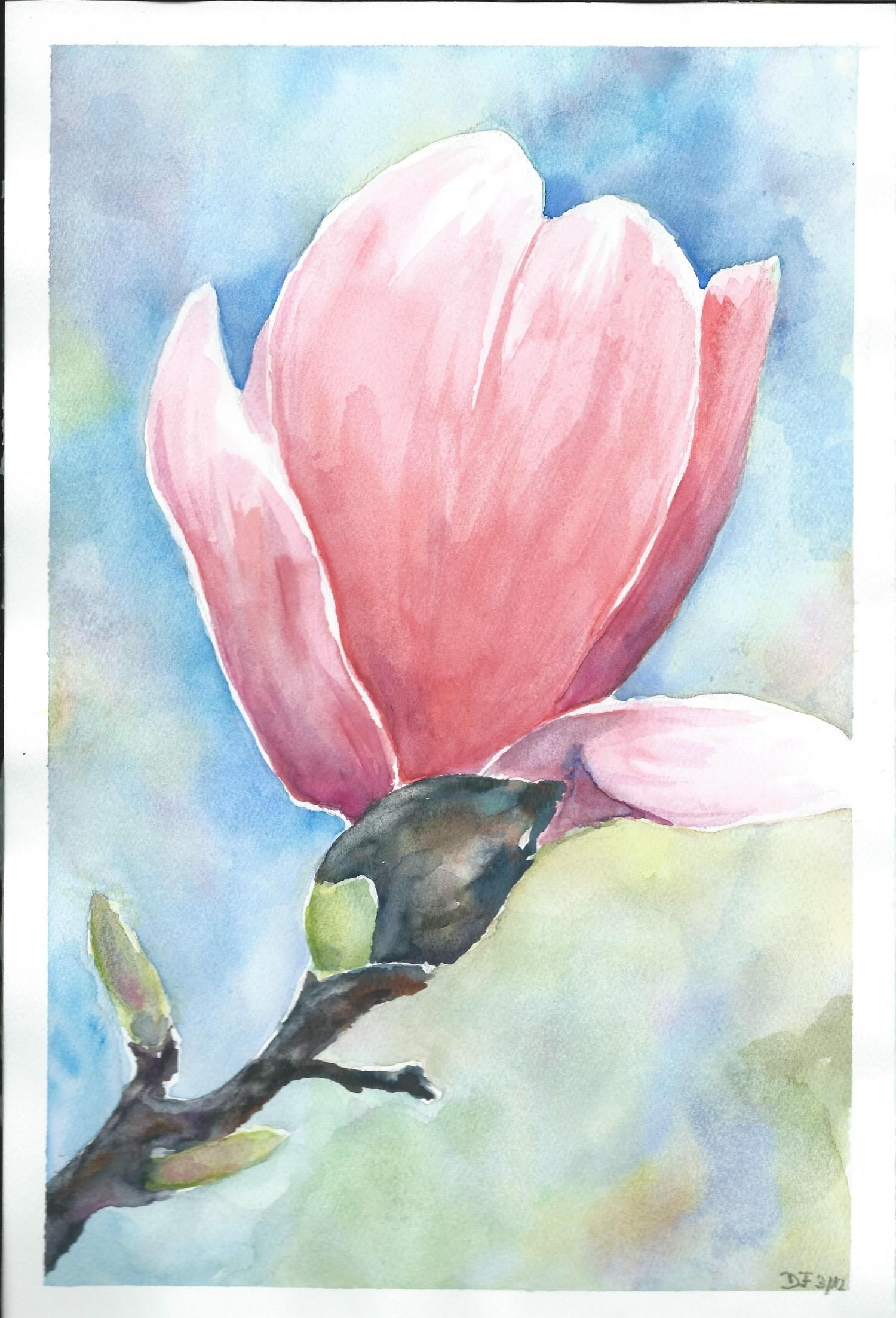 Energie-Coaching und Fern-Heilung