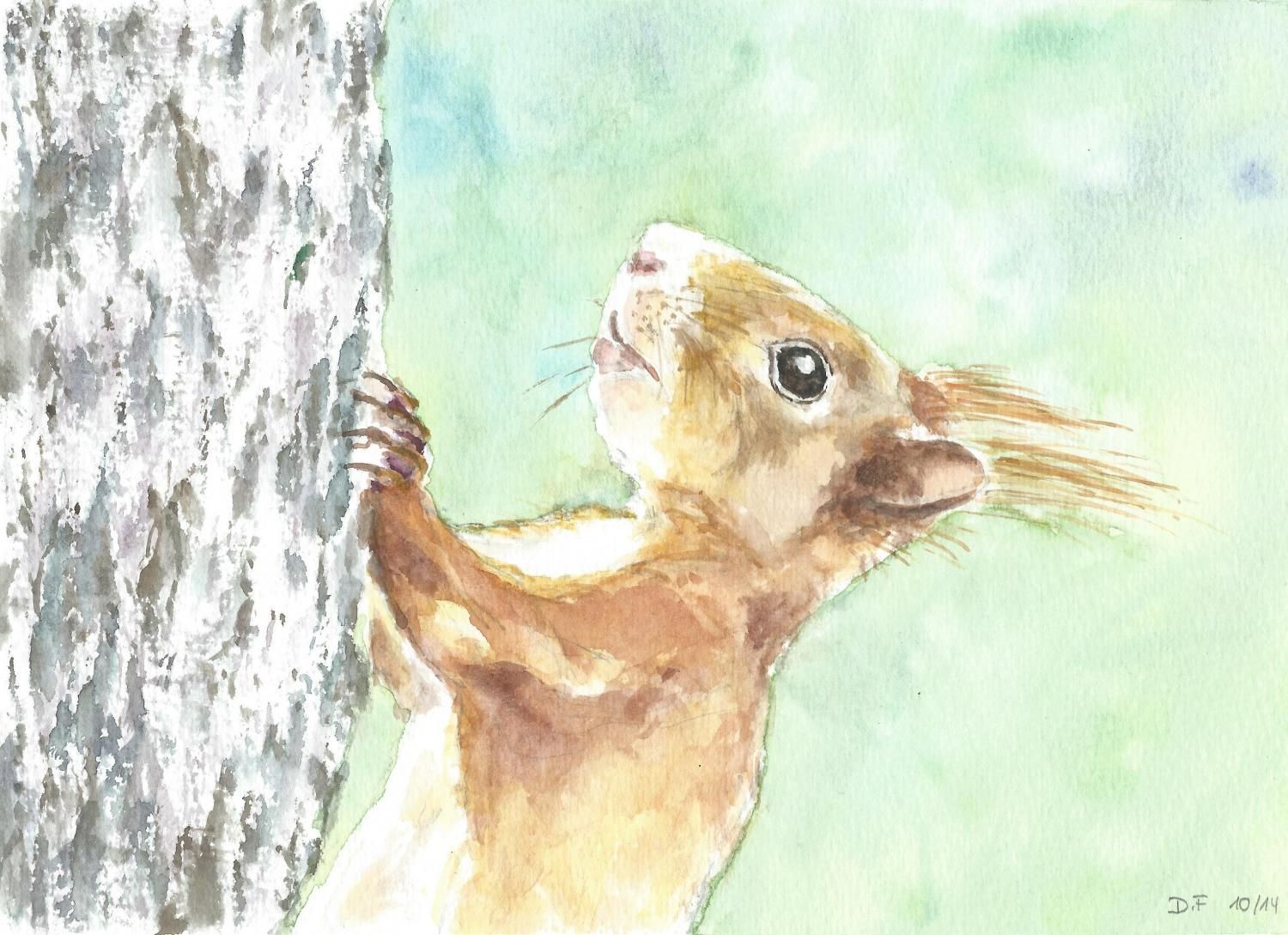 Energie-Coaching und Fern-Heilung