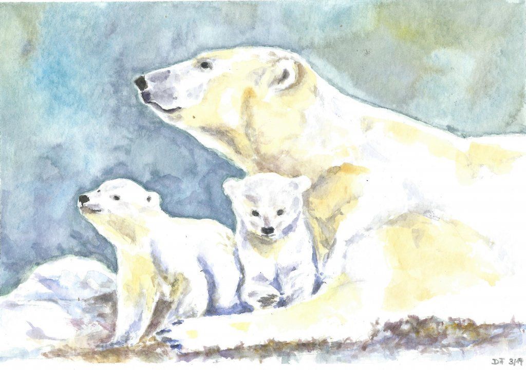 Energie-Coaching und Fern-Heilung