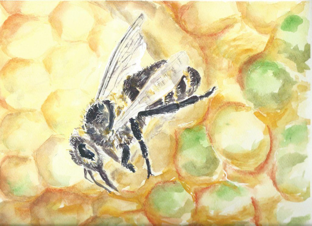 Energie-Coaching und Fern-Heilung