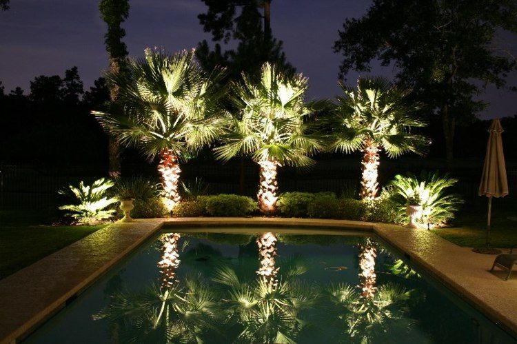 éclairage de jardin avec palmiers au bord de la piscine - Pyrame Solutions