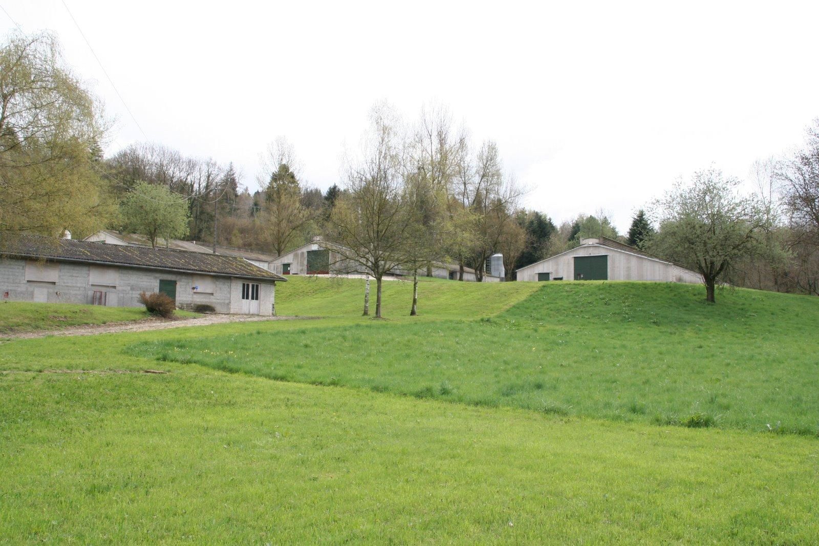 Des bâtiments et de l'herbe.