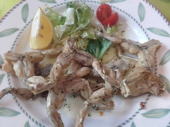 Trozos de pescado a la parrilla en un plato con una rodaja de limón y una pequeña guarnición de ensalada.