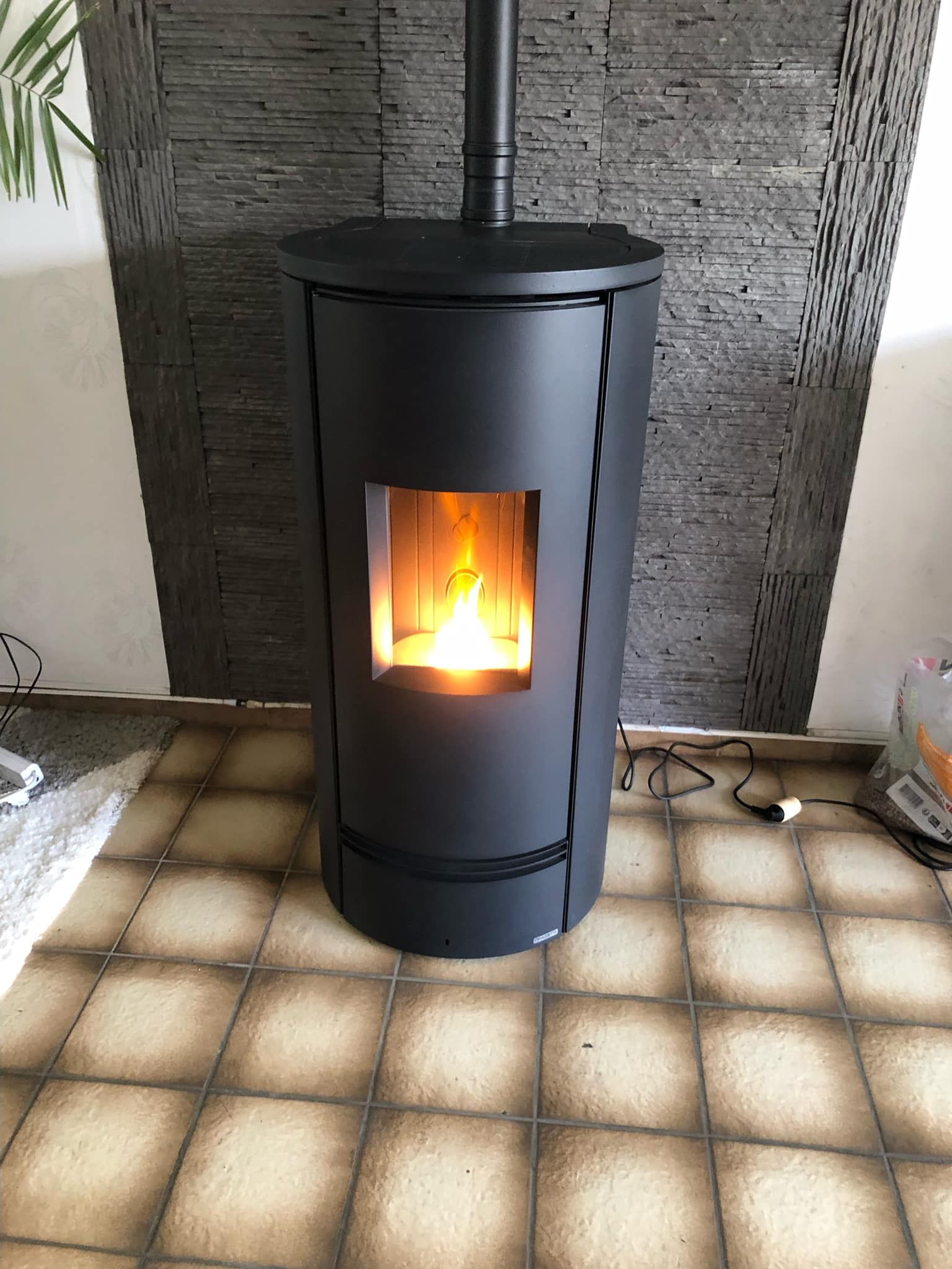 Poêle à granulés avec le foyer allumé