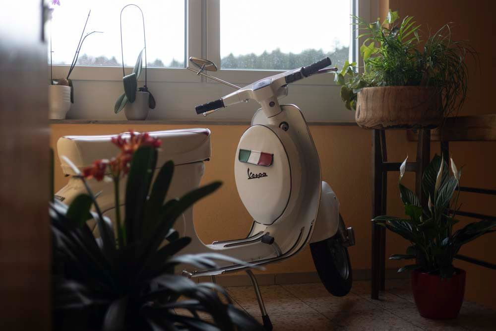 Ein weißer Vespa-Roller steht umgeben von Topfpflanzen vor einem Fenster.
