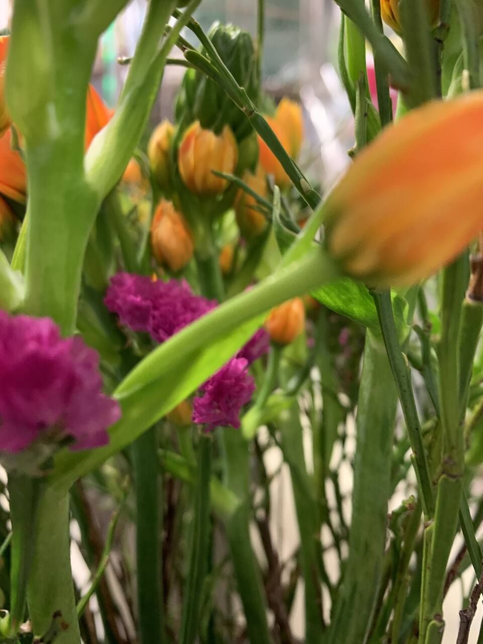 Blumen von Le Fleuriste.ch