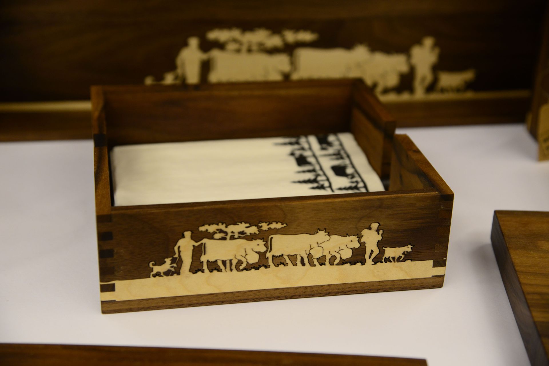 haushaltsgeräte - streule ag - appenzell
