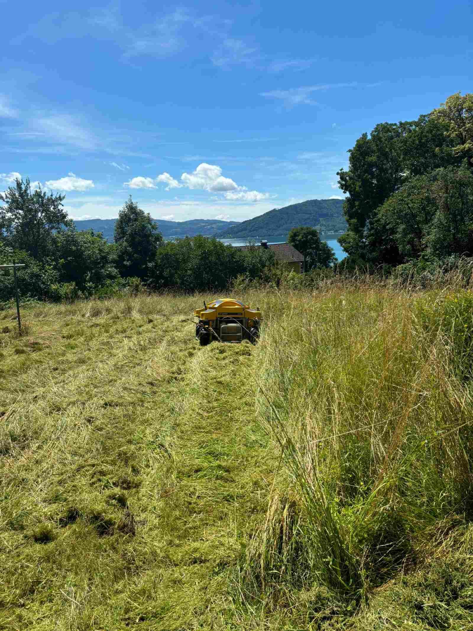 Ein gelber Rasenmäher schneidet Gras auf einem Feld.