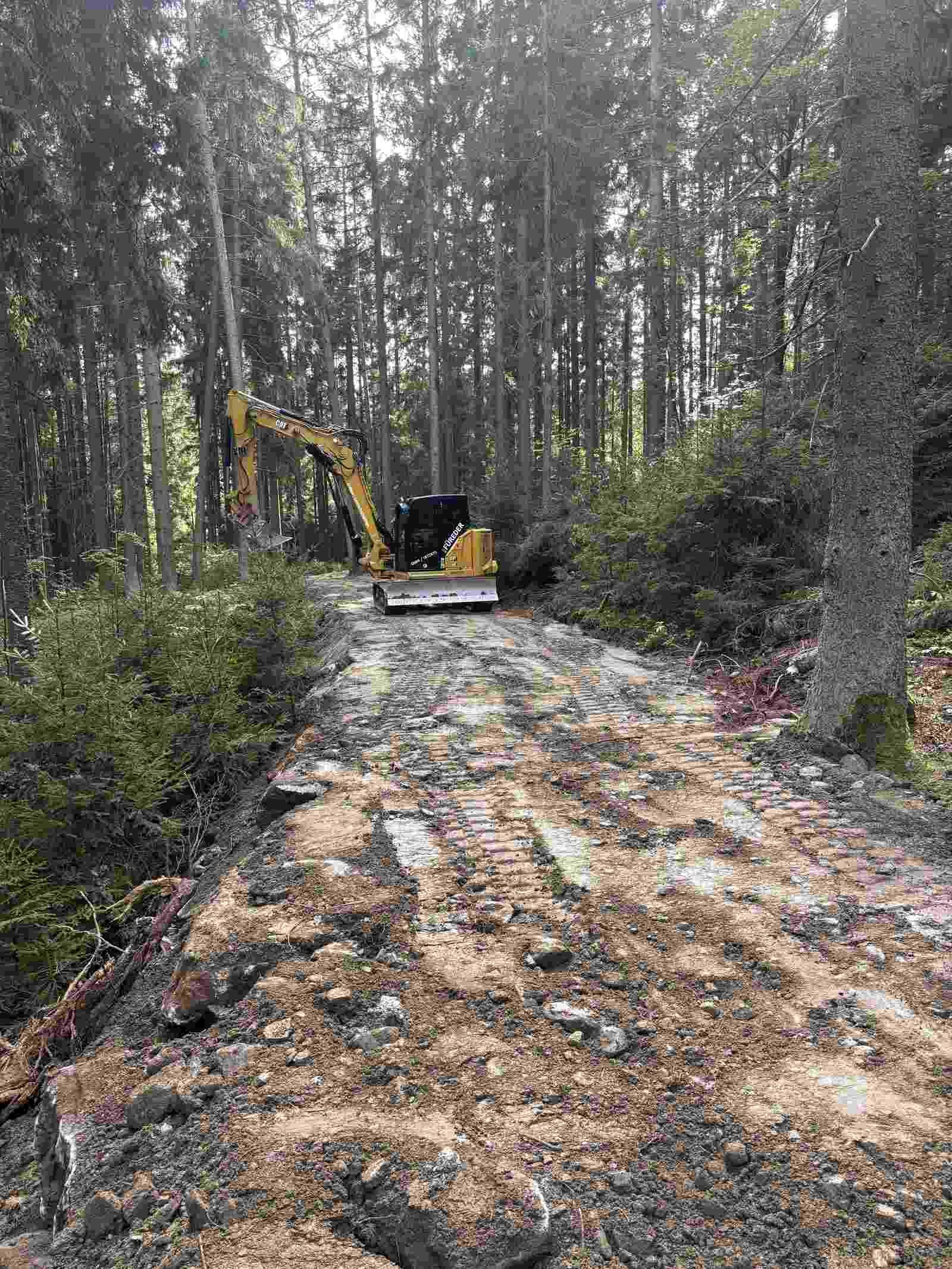 Ein gelber Bagger fährt einen Feldweg im Wald entlang.