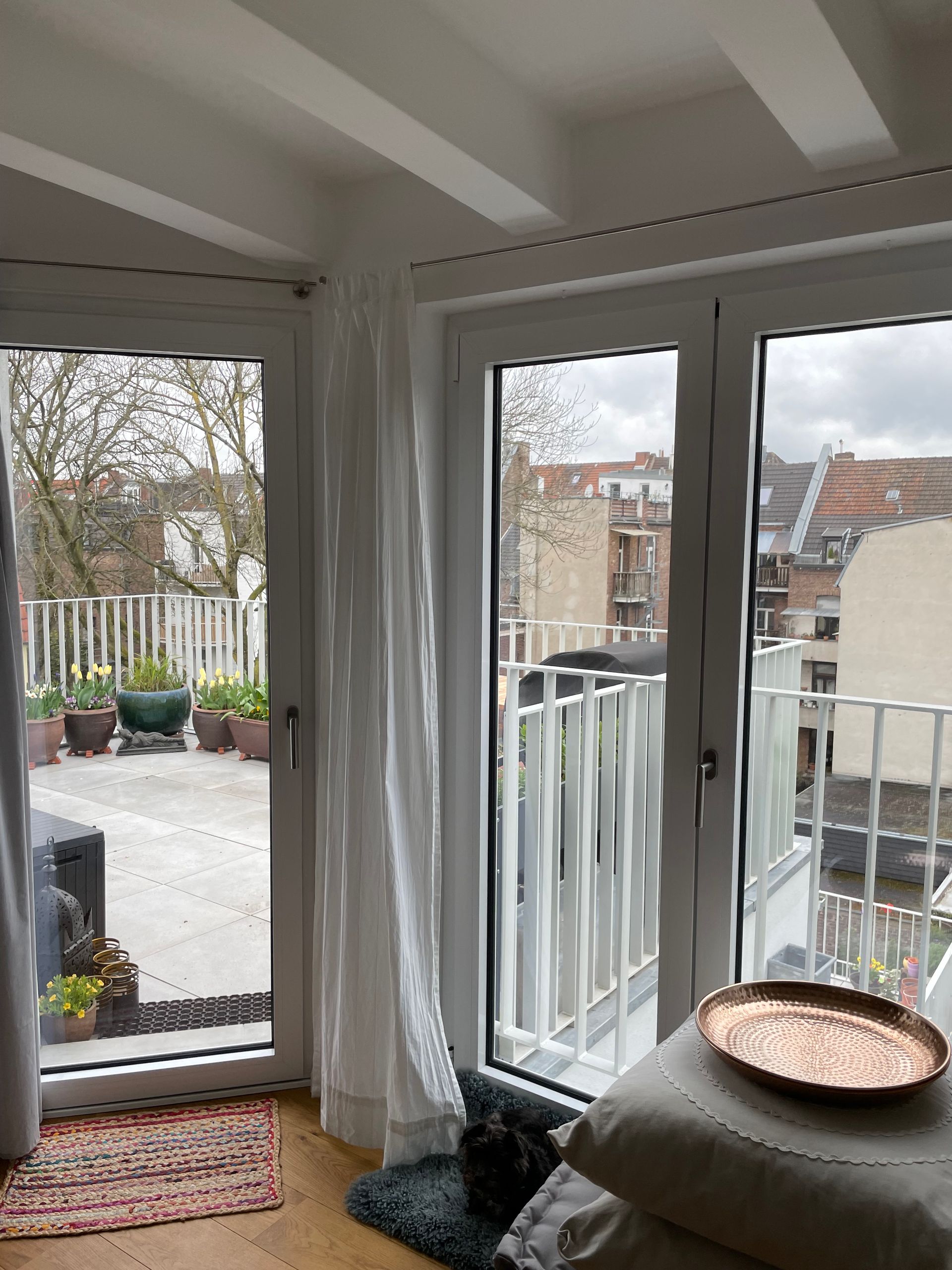 Zwei große Fenster mit weißen Rahmen, eines mit offener Tür zum Balkon mit Pflanzen, darunter ein Teppich.