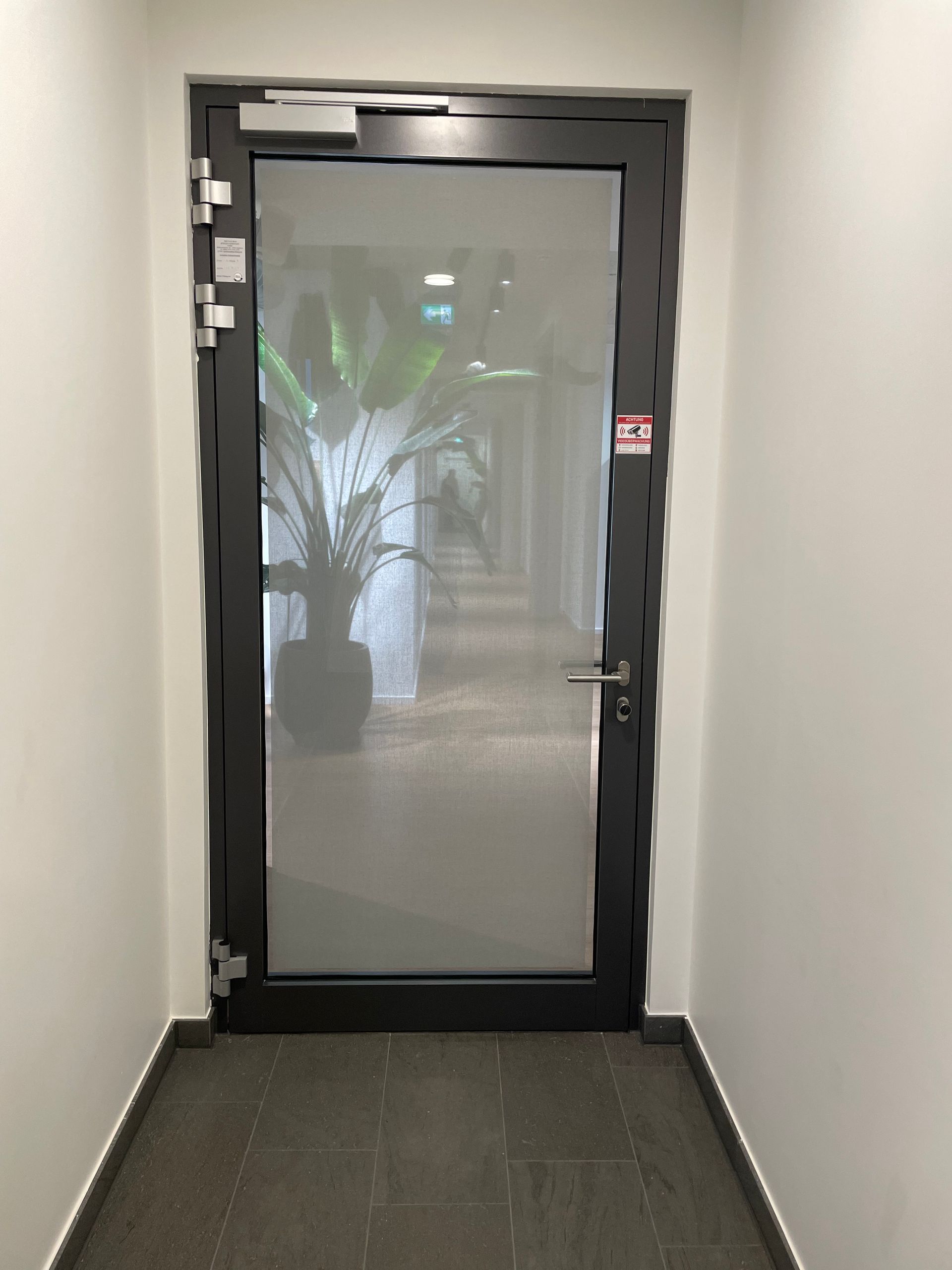 Schwarzer Türrahmen mit Glastür, dahinter große Topfpflanze und Flur mit mehreren Türen sichtbar.