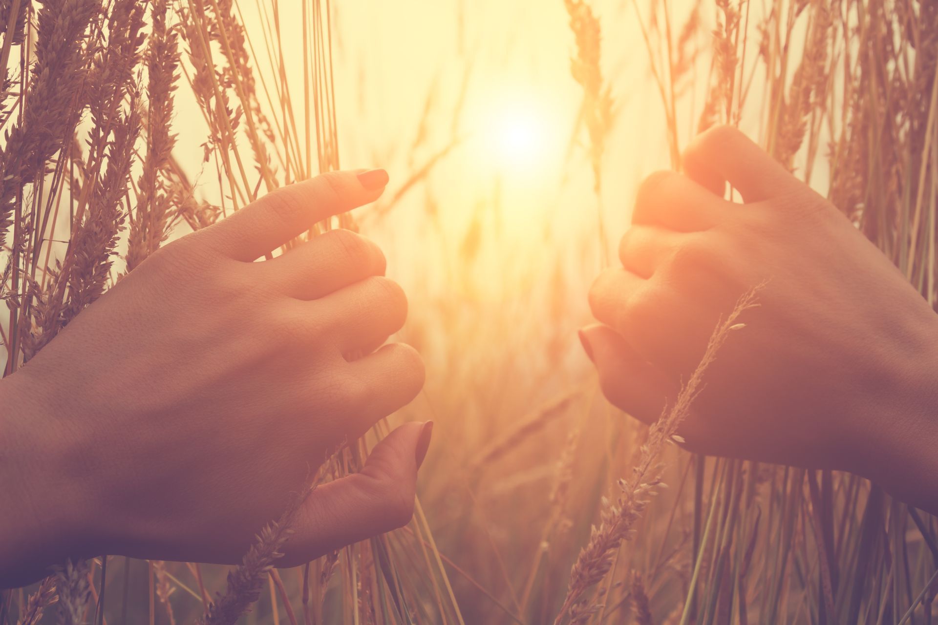 Zwei Hände greifen nach der Sonne in einem Feld .