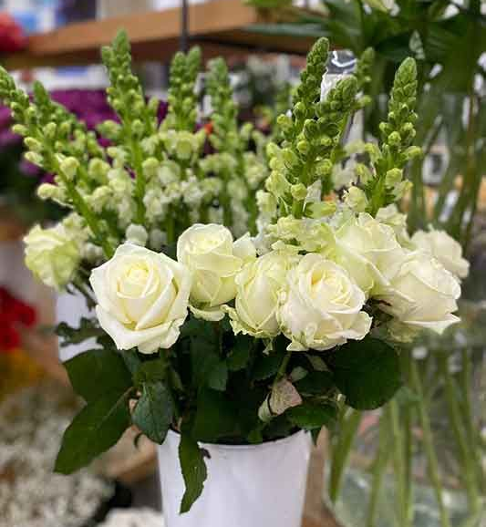 Weiße Rosen und grüne Löwenmäulchen in einer weißen Vase; Blumenarrangement.