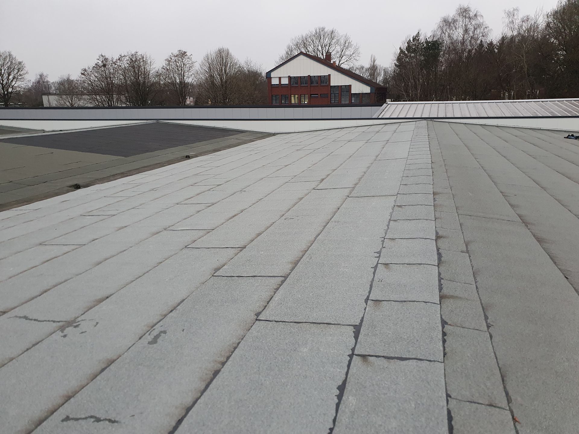 Schneebedecktes Dach mit einem kleinen roten Haus und kahlen Bäumen im Hintergrund