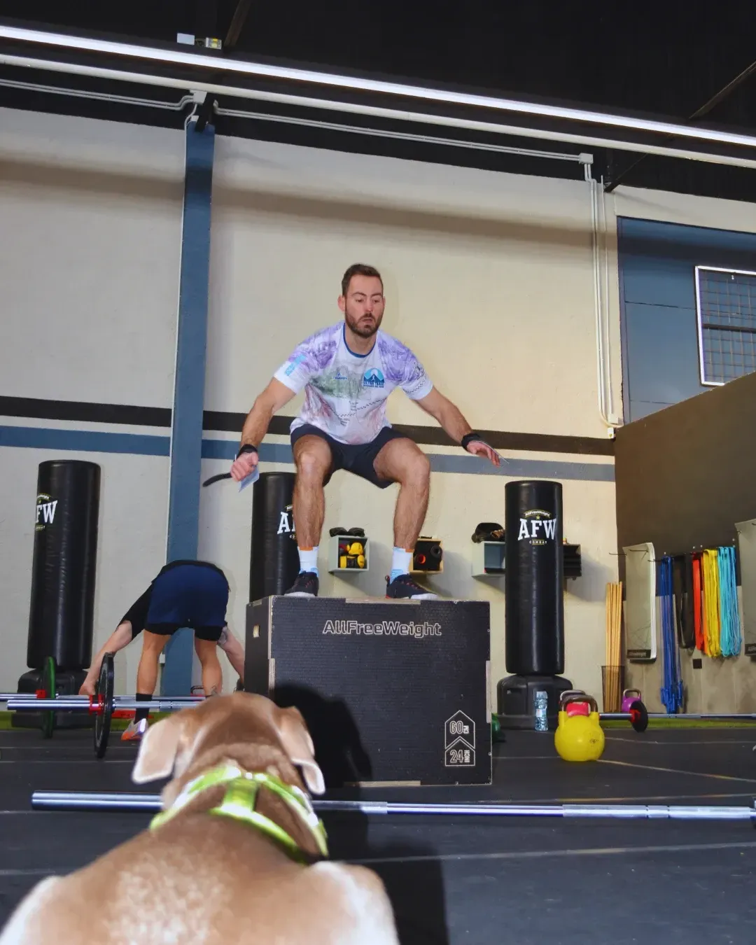 Un hombre salta sobre una caja en un gimnasio mientras un perro y otra persona hacen ejercicio cerca.