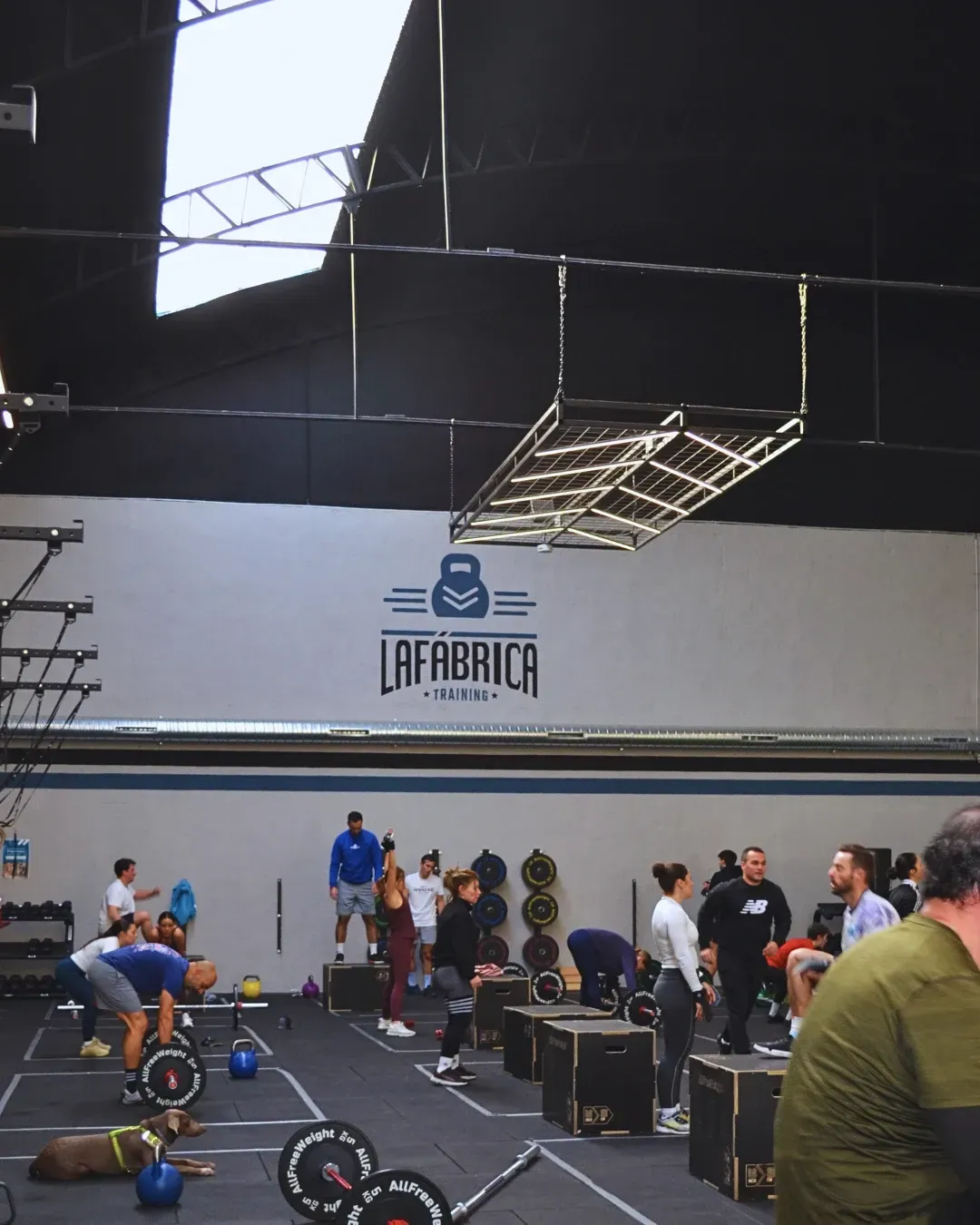 Gente haciendo ejercicio en un gimnasio con pesas, cajas y un logo que dice “La Fábrica”.