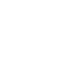 Auto Icon Auto Icon