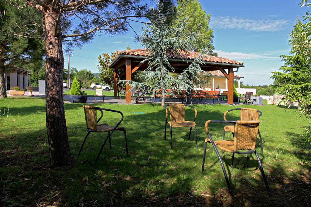 Trois chaises sous un pin