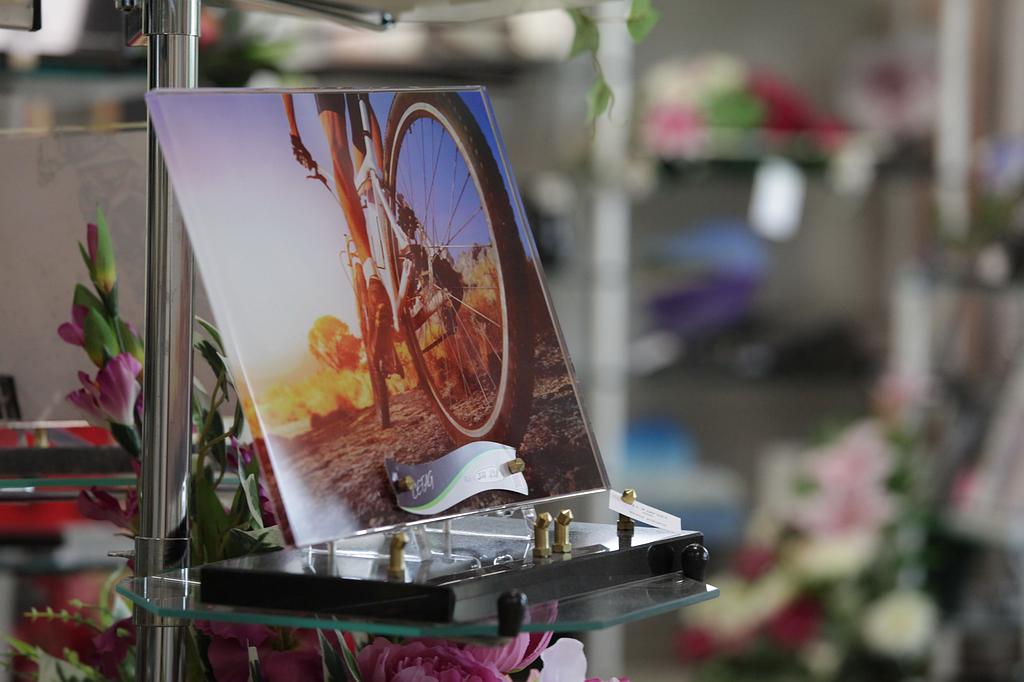 Photo-porcelaine avec une roue de vélo