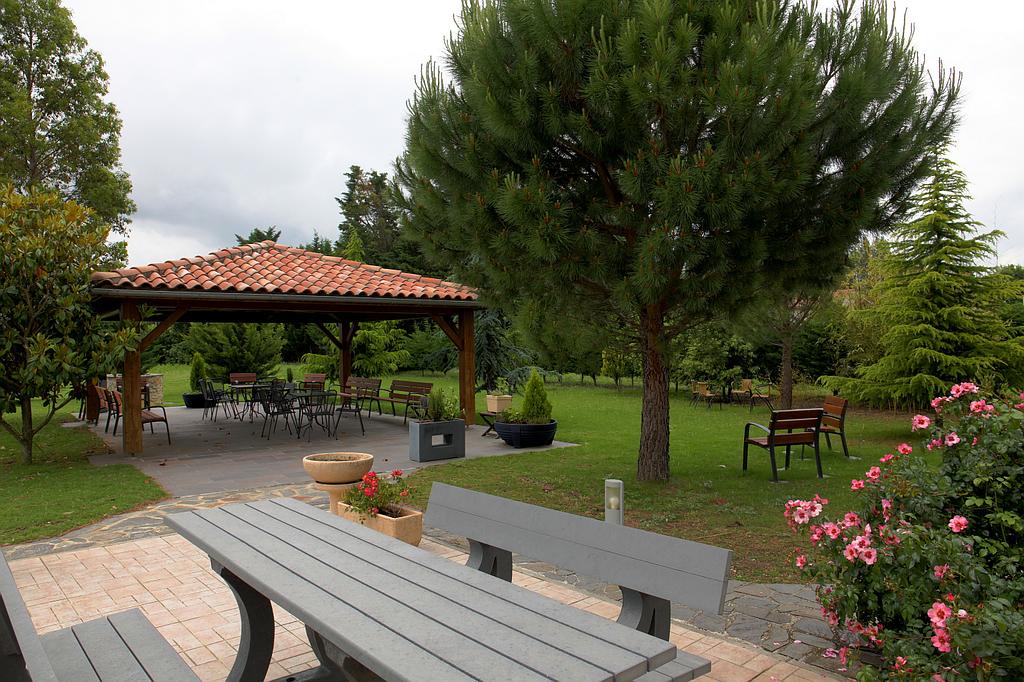 Table et bancs en bois dans les espaces verts