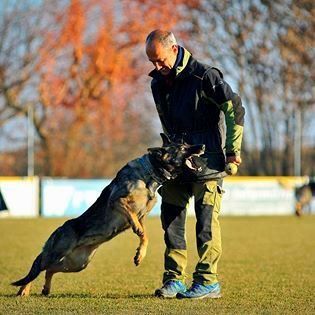 Un hombre está jugando con un perro pastor alemán en un campo.