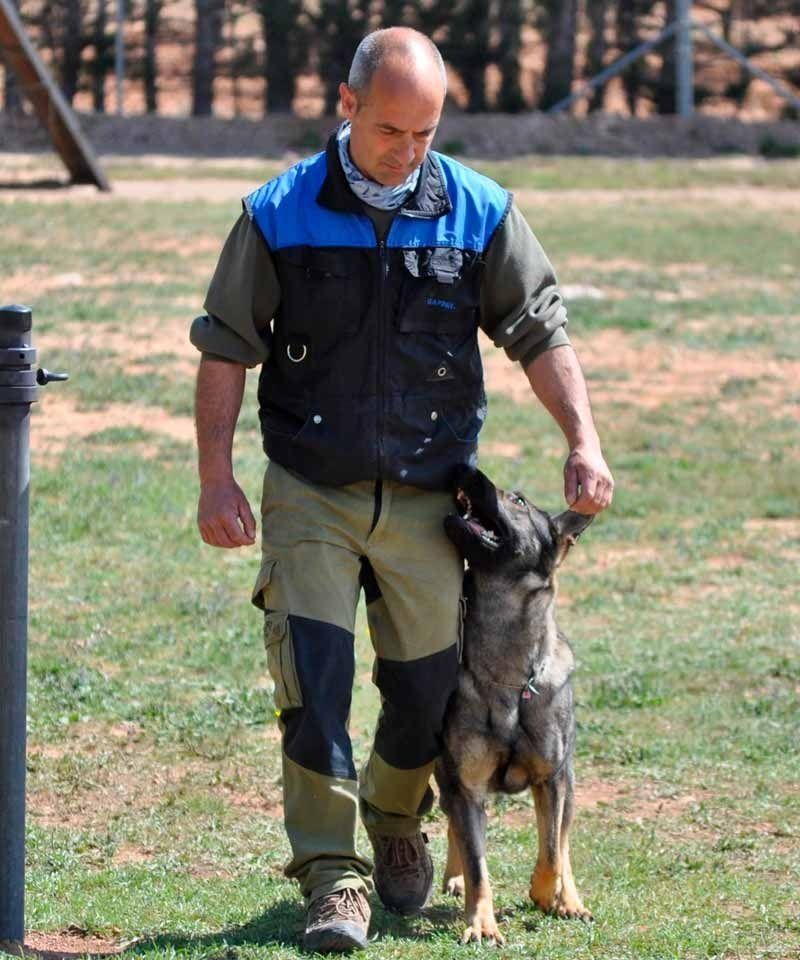 Un hombre con un chaleco azul y negro pasea a un perro.