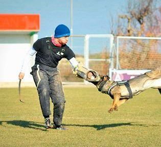 Un hombre está jugando con un perro en un campo.