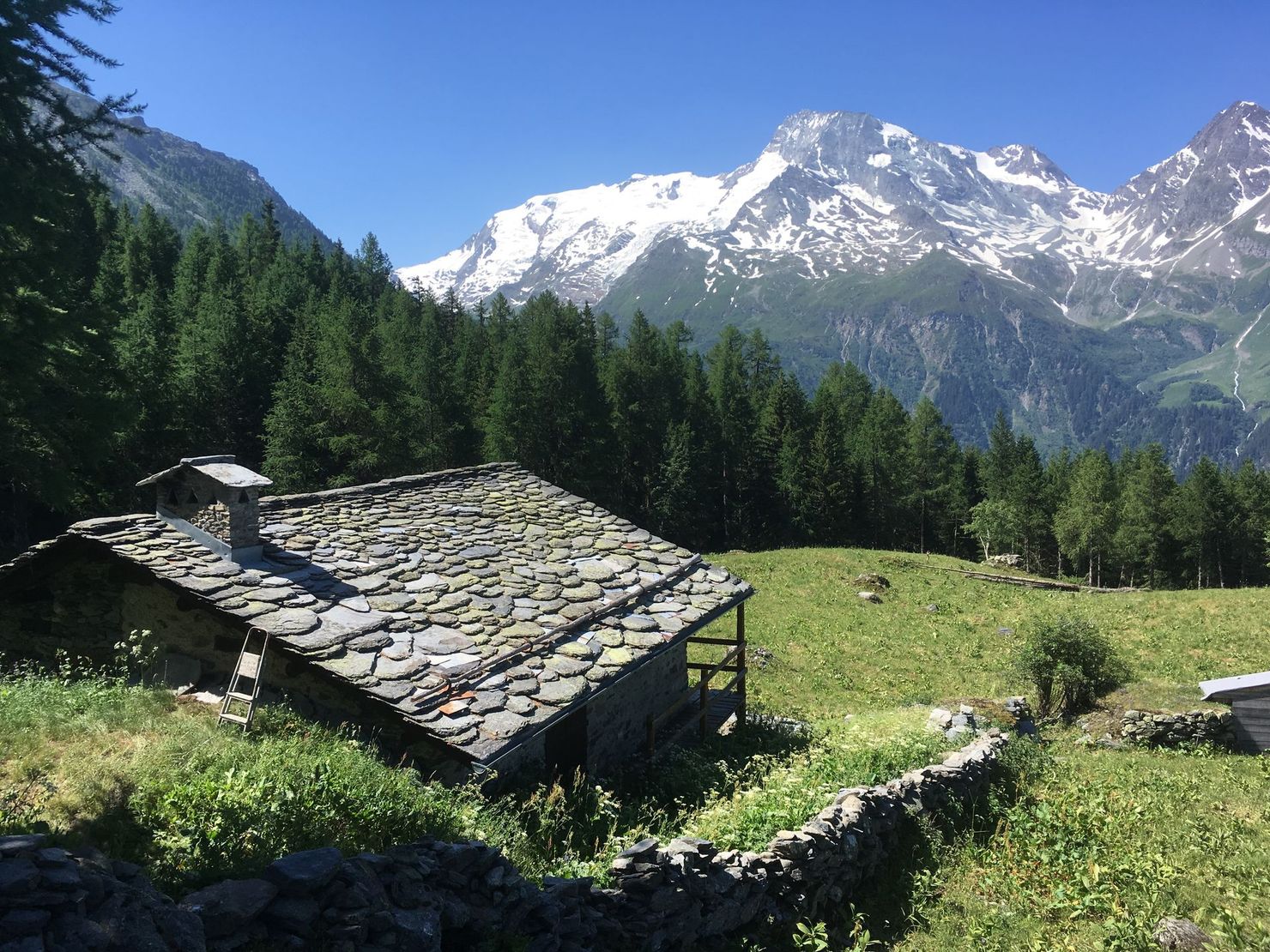Chalet au toit de pierre dans une prairie verdoyante, avec des pins et des montagnes enneigées en arrière-plan.