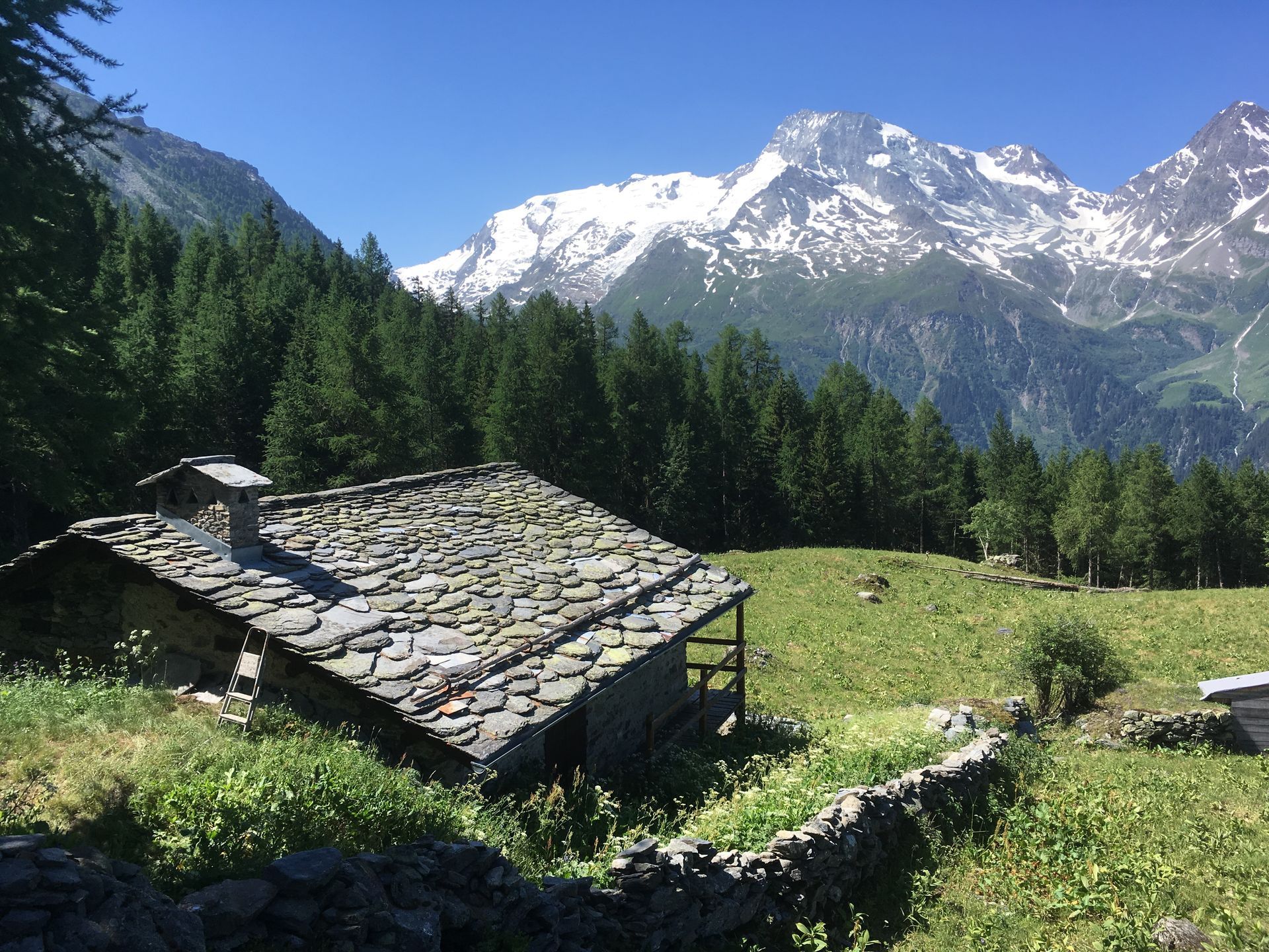 Chalet au toit de pierre dans une prairie verdoyante, avec des pins et des montagnes enneigées en arrière-plan.