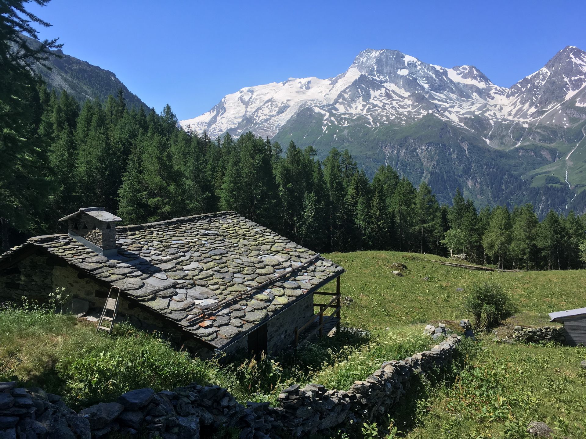 Cabane au toit de pierre dans une prairie alpine verdoyante, avec des conifères et des montagnes enneigées en arrière-plan.