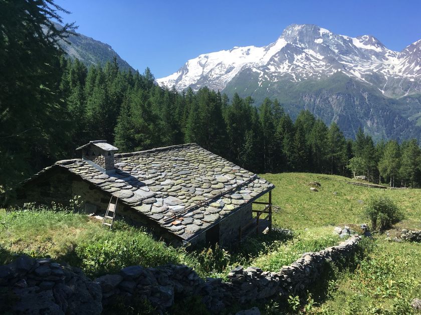 Chalet au toit de pierre dans une vallée alpine verdoyante, avec des pins et des montagnes enneigées sous un ciel bleu.