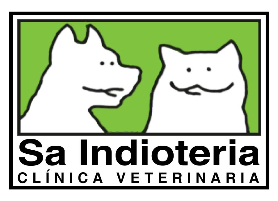 Sa Indioteria Clínica Veterinaria